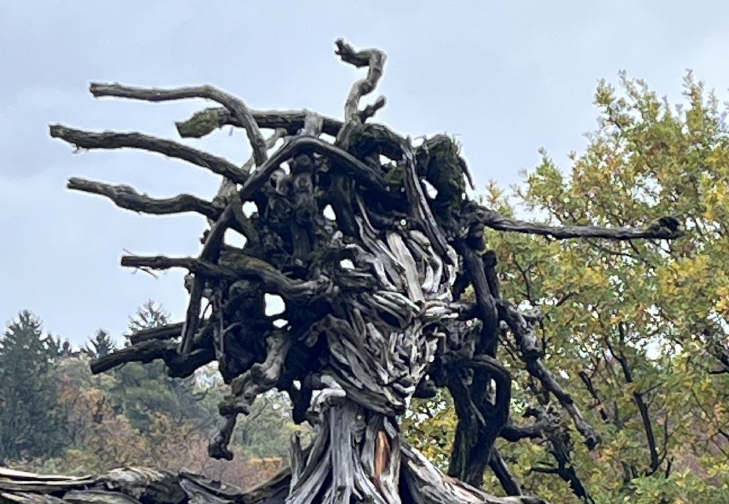 Tutte le sculture di Marco Martalar.....in Trentino